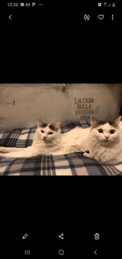 La Casa Sulla Vecchia Riva Lejlighed Ferrara Eksteriør billede